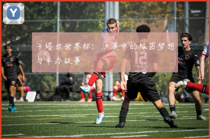 卡塔尔世界杯：沙漠中的绿茵梦想与举办故事